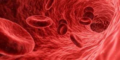RESEARCHERS RE-ENGINEER RED BLOOD CELLS TO TRIGGER IMMUNE SYSTEM AGAINST COVID