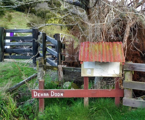 South Island's 'Dehra Doon'