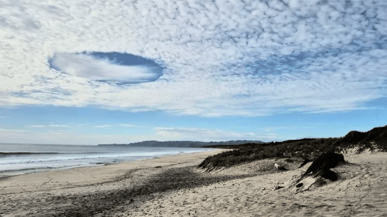 Rare 'UFO cloud' has Aucklanders' eyes on the skies