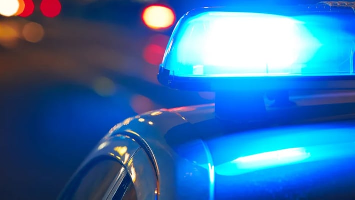 Several people have been arrested after a brawl broke out near Auckland's Viaduct Harbour on Friday night.