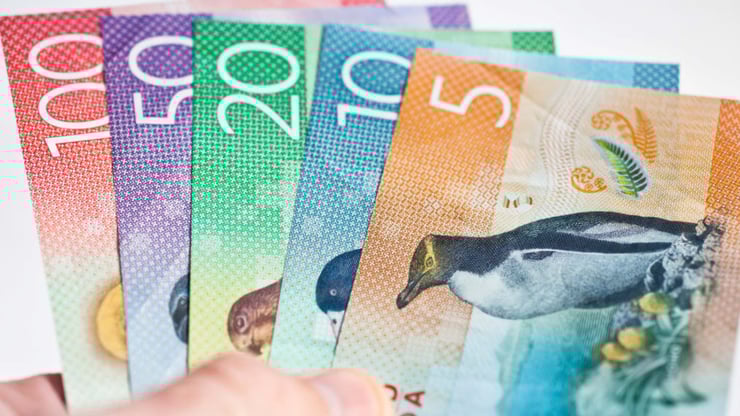 Government Adjustments Bring Mixed Results for Kiwis