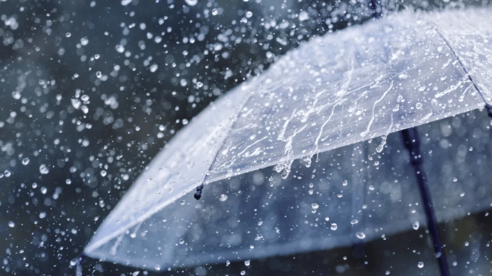Heavy rain watches have been put in place for the northern half of the North Island from Saturday afternoon.
