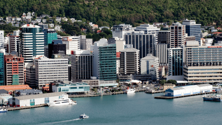 Wellington City Council voted 13-2 in favour of the group's establishment, with three abstentions