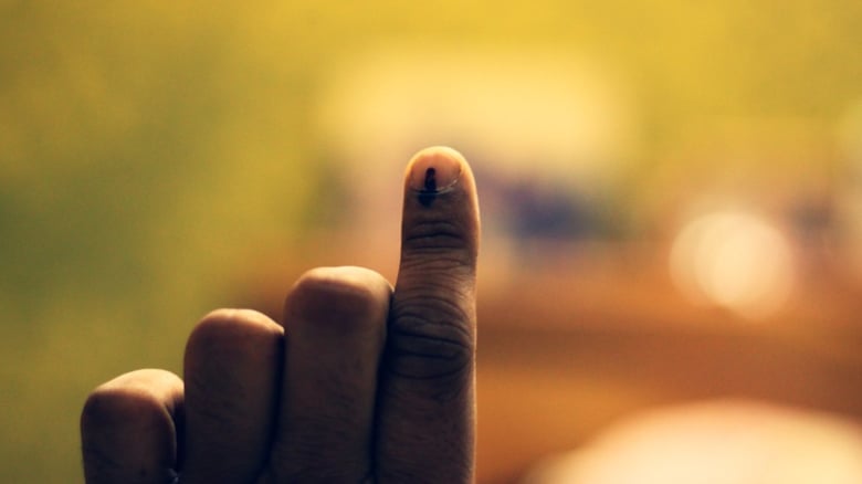 Can Overseas Indians Vote In Lok Sabha Elections 2024?