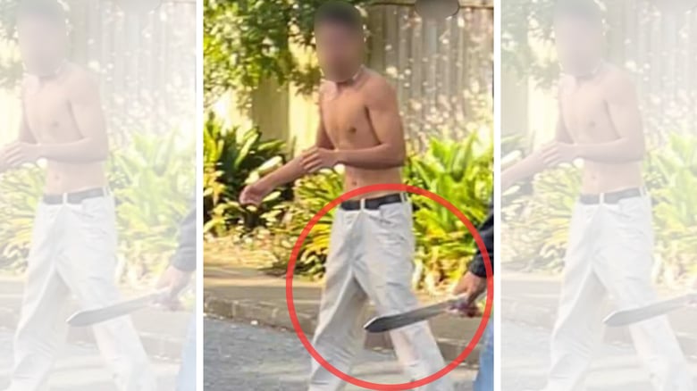 Onehunga School Student Flees Knife-Wielding Attacker