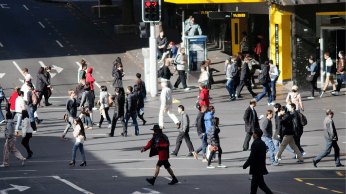 Education, productivity and emissions: Three big problems NZ needs to fix, according to the OECD