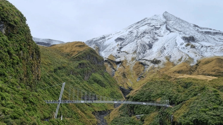 Striking New Suspension Bridge Opens On Taranaki Maunga