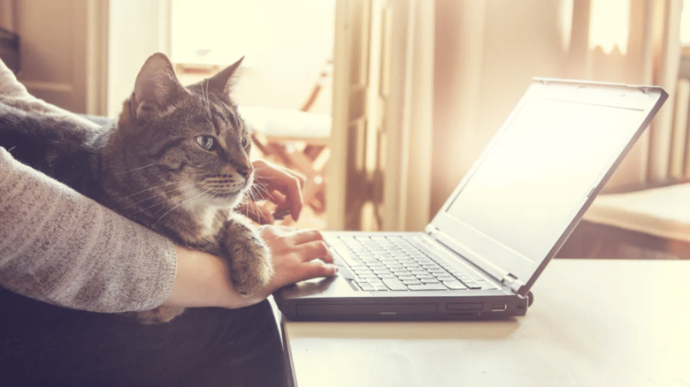 What Are The Highest-Paying Work-From-Home Jobs?