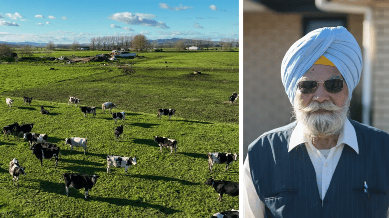 Moo-ving Up: The Punjabis Feeding NZ's Dairy Machinery