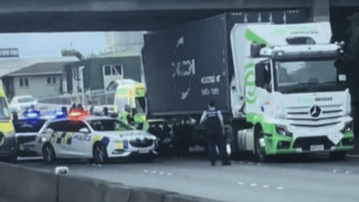 Hero Kiwi-Indian Truck Driver Saves Woman on Auckland Motorway, Endures Racist Abuse Online