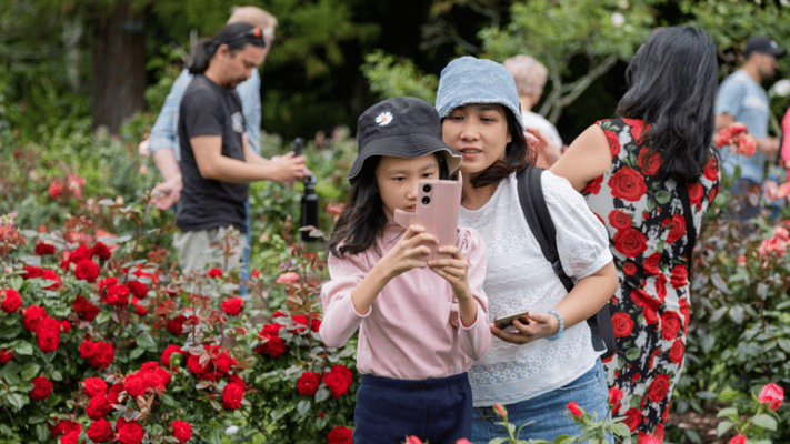 The Parnell Festival of Roses is back to paint Auckland in the vibrant hues of roses and the spirit of community once again