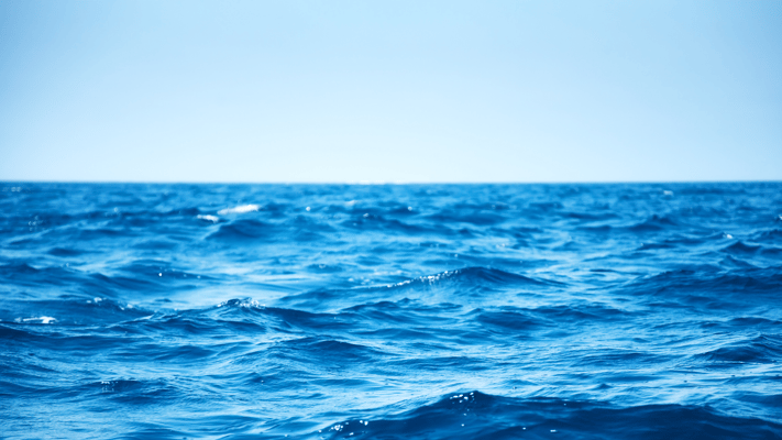 Father’s Desperate Rescue Attempt as Son Swept Away in Central Coast Tragedy