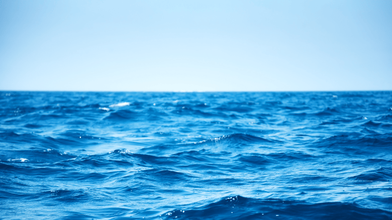 Father’s Desperate Attempt To Save Son Swept Away Into Sea In Australia