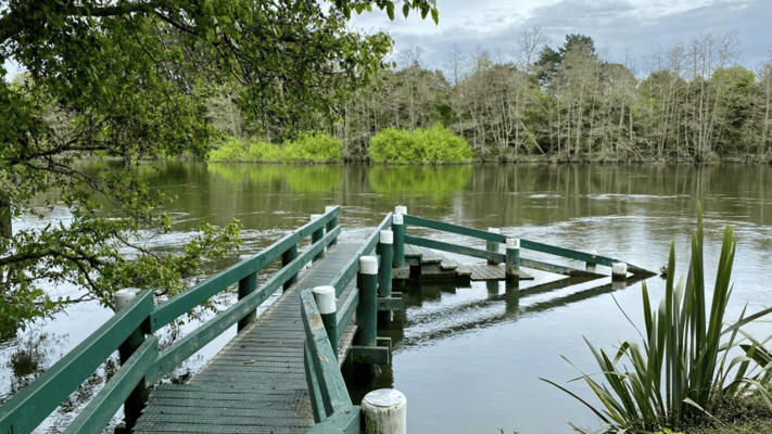Elevated levels of arsenic have been found in the Waikato River, affecting water supplies in Auckland and Waikato.