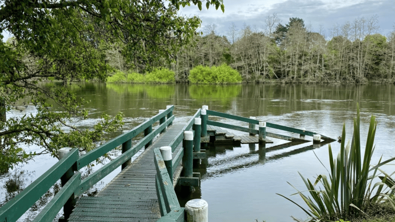 Elevated Arsenic Levels In Waikato River Affecting Water Supplies