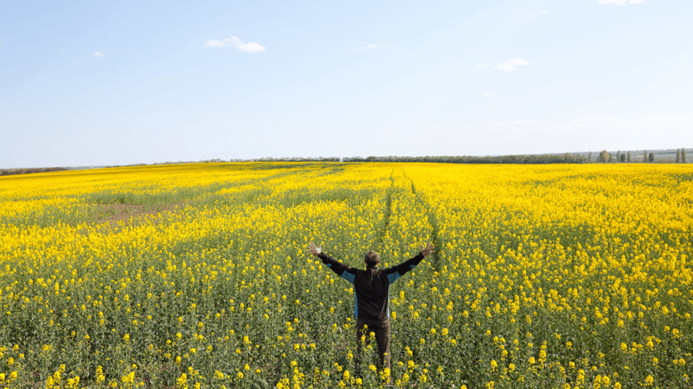 Happiness: Is There An App For That?