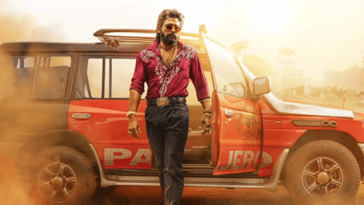 Almost 300 Indian movies were screened in cinemas throughout New Zealand in the last two years.