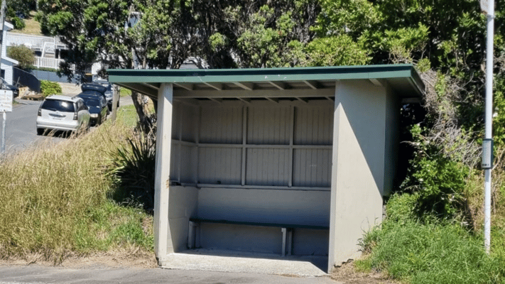 The police want the public's help with information after a man allegedly threatened a woman with a small child with a blade before being tasered and hospitalised in Wellington's Khandallah.