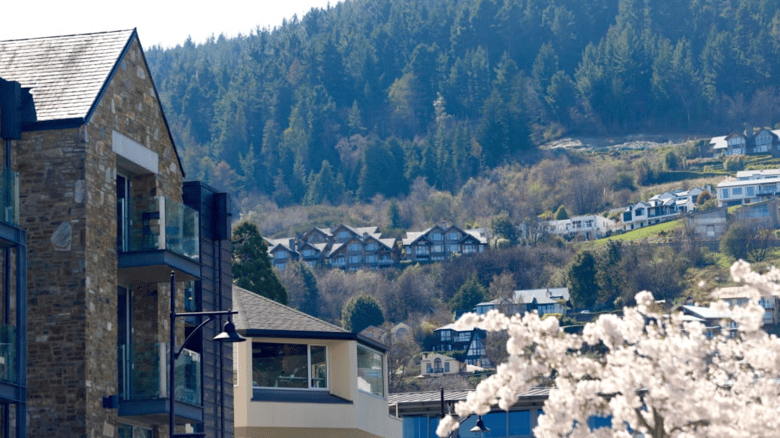 Luxury Property Sales Drop By More Than 50 Percent