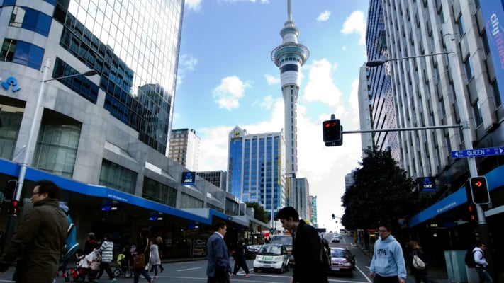 More than half of New Zealand workers wish they had chosen a different career according to a new survey