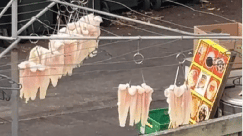 Auckland Eatery Denies Hanging Fish On A Washing Line, Slapped With D Food Grade