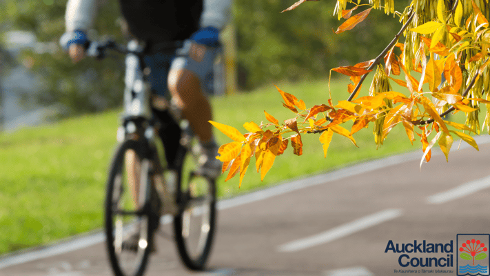 New Franklin Pathways to Make Walking Safer, Healthier, and Easier