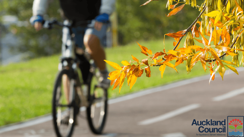 Footpaths For The Future: Franklin’s Big Step Towards A Healthier Lifestyle
