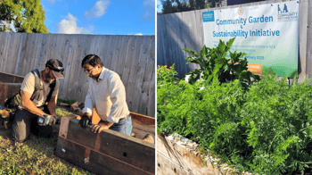 $12K Grant Brings Sustainable, Accessible Garden To Rotorua
