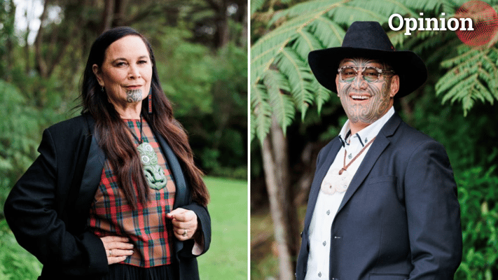 As A Migrant Kiwi, Maori Party’s Budget Speech Concerns Me