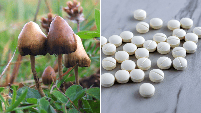 Sweet Dreams Ahead — Melatonin OTC, 'Magic Mushrooms' By Prescription In NZ
