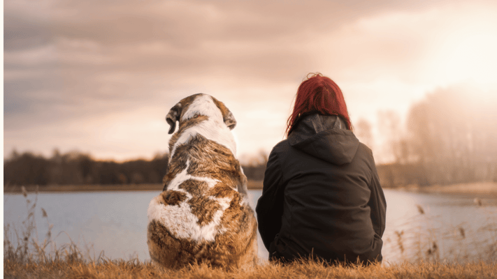 Have you noticed how many young Indian couples are choosing to adopt pets these days?
