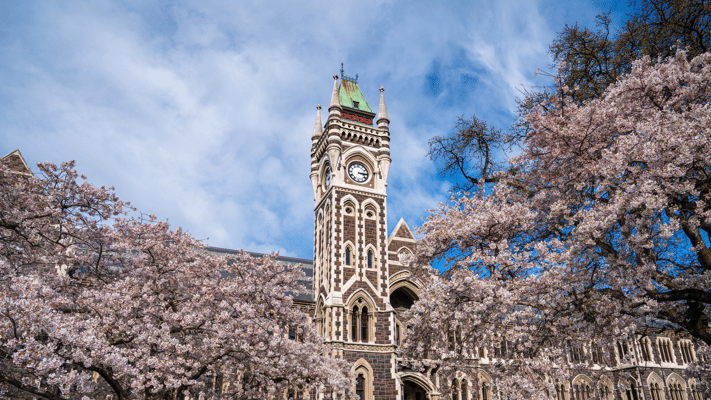 The University of Otago received 14 complaints of racism and bullying from staff between April 1, 2024, and March 31, 2025