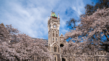 Otago University Staff Filed Most Racism & Bullying Complaints: OIA