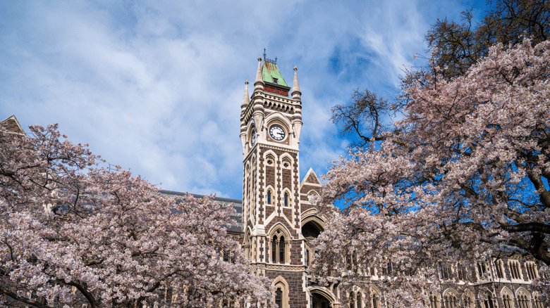 Otago University Staff Filed Most Racism & Bullying Complaints: Oia
