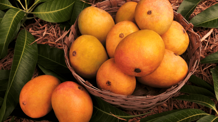 Indian mangoes are selling at lower prices this year in NZ 