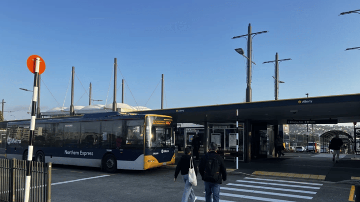 An Auckland woman says her son is terrified of taking the bus after being threatened by two boys with a machete at Albany Bus Station on Monday afternoon.