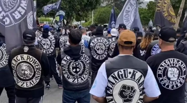 Government's gang crackdown could backfire, according to expert advice from justice officials.