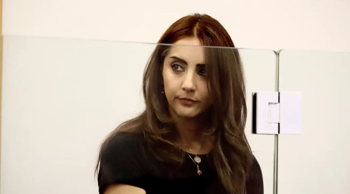 Former Green MP Golriz Ghahraman pleads guilty to shoplifting charges