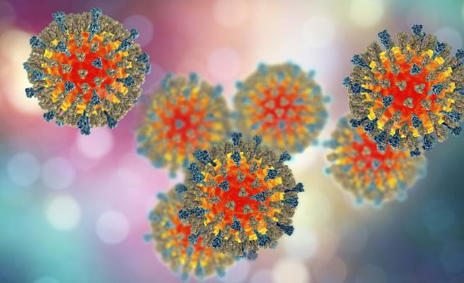 The Continued Threat of a Measles Outbreak
