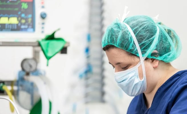 nurse in auckland