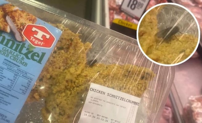 fly inside packet at Pak n' Save Upper Hutt