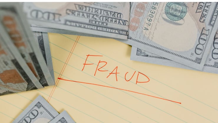 Lack of Scrutiny in Covid Schemes Led to Fraud Cases