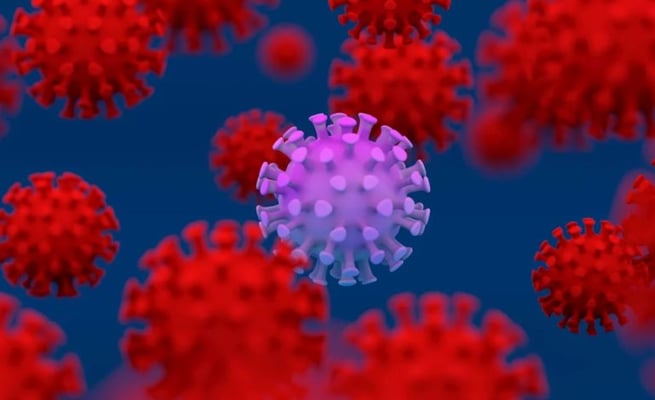 A Covid-19 vaccine that can fight newer strains of the virus will be rolled out from next month.