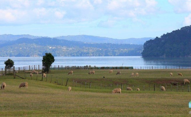 Auckland parks recognised as best green spaces in world
