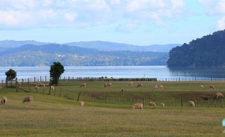 Auckland parks recognised as best green spaces in world
