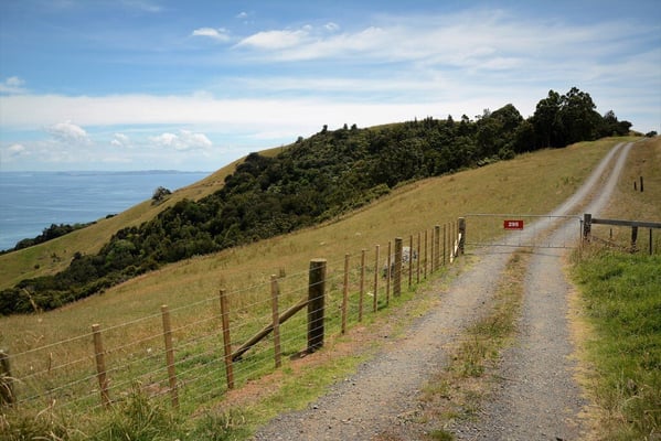 Fatal farm crash in Coromandel: A Man driving ute died