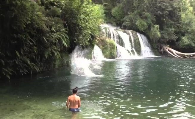 20-year-old Indian student drowns at Maraetotara Falls, Hawkes Bay