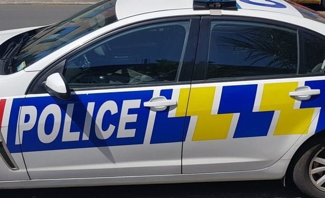Family from India on holiday in New Zealand meet a deadly accident