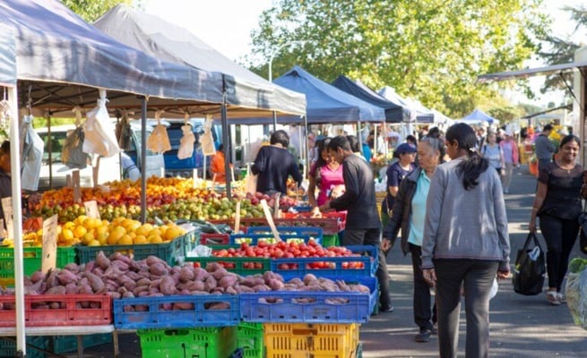Explore the world in your own backyard with Taste of Puketapapa