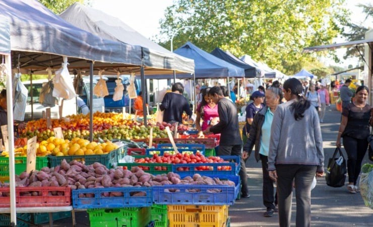 Explore the world in your own backyard with Taste of Puketapapa
